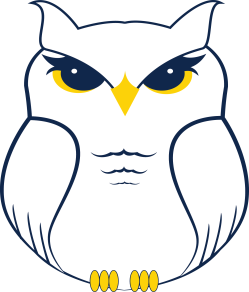Owl Image Owl Image